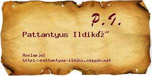 Pattantyus Ildikó névjegykártya
